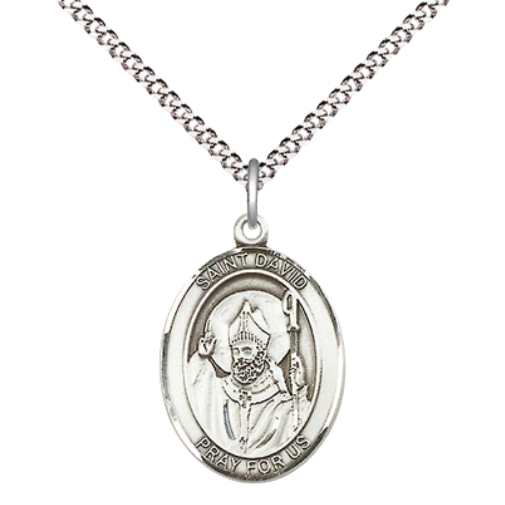 Everlasting Light Jewelry Medium Women's .925 Sterling Silver Saint St. David of Wales Pendant Necklace on 18- Inch Rhodium Plated Lite Curb Brass Chain – Patron Saint St. of Doves & Wales, Catholic Medal – Velvet Gift Box Included
