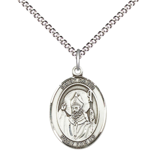 Everlasting Light Jewelry Medium Women's .925 Sterling Silver Saint St. David of Wales Pendant Necklace on 18- Inch Rhodium Plated Lite Curb Brass Chain – Patron Saint St. of Doves & Wales, Catholic Medal – Velvet Gift Box Included