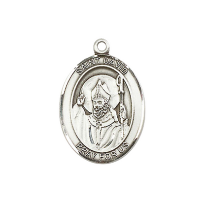 Everlasting Light Jewelry Medium Women's Pewter Saint St. David of Wales Pendant Necklace on 18- inch Rhodium- Plated Lite Curb Brass Chain – Patron Saint St. of Doves/Wales, Catholic Medal – Velvet Gift Box Included