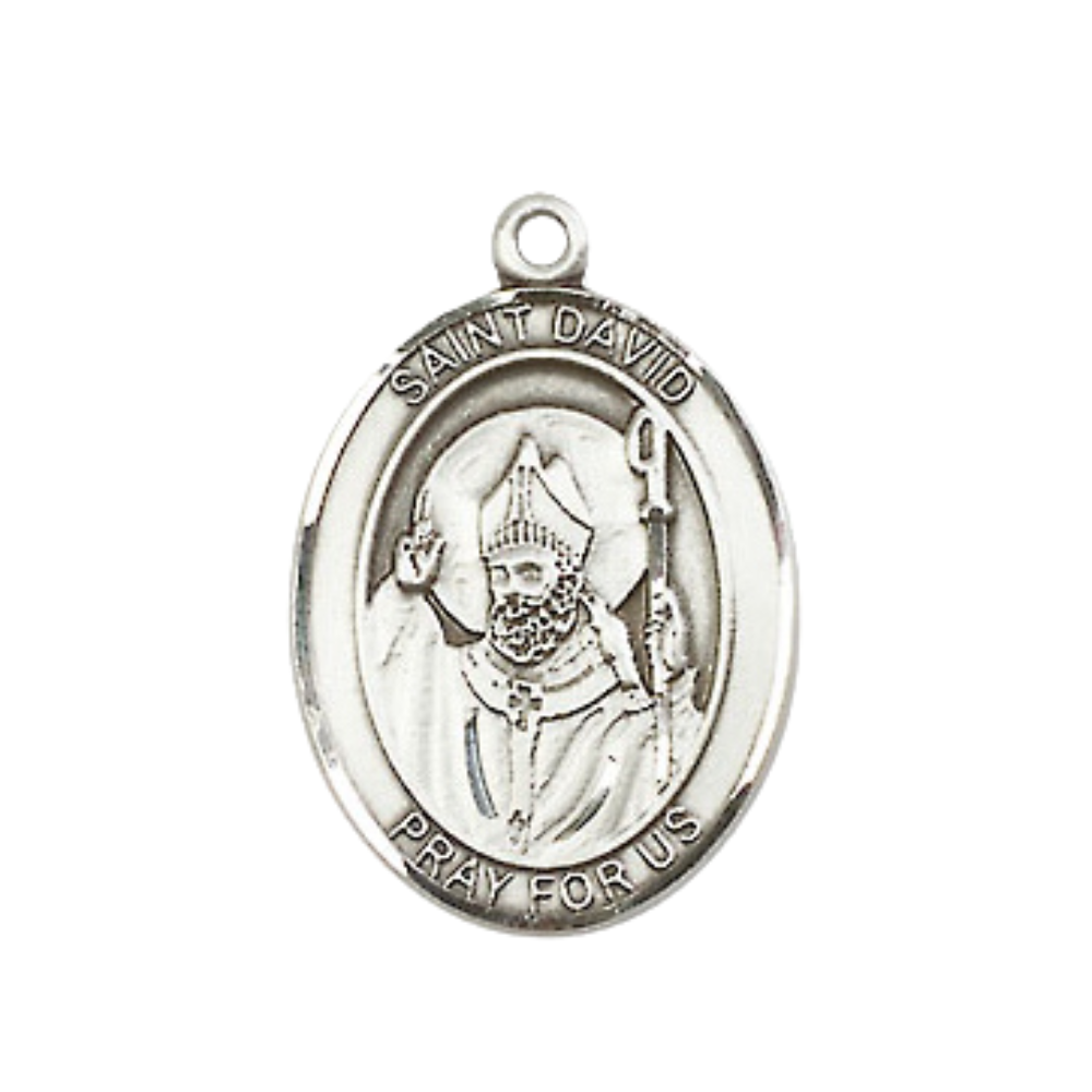 Medium Men's .925 Sterling Silver Saint St. David of Wales Medal Pendant on 24 Inch Endless Rhodium Plated Heavy Curb Brass Chain, Catholic Religious Necklace - Made in USA- Deluxe Velvet Gift Box