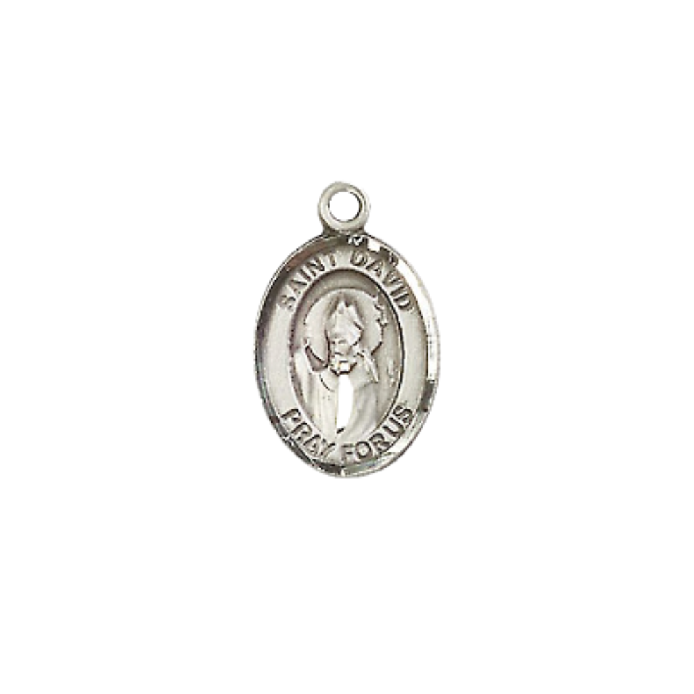 Small Sized Women's .925 Sterling Silver Saint St. David of Wales Medal Pendant on 18 Inch Rhodium Plated Lite Curb Brass Chain with Lobster Claw Clasp, Catholic Religious Necklace - Made in USA- Velvet Gift Box