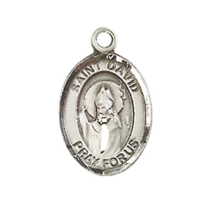 Small Sized Men's .925 Sterling Silver Saint St. David of Wales Medal Pendant on 24 Inch Endless Rhodium Plated Heavy Curb Brass Chain, Catholic Religious Necklace - Made in USA- Deluxe Velvet Gift Box