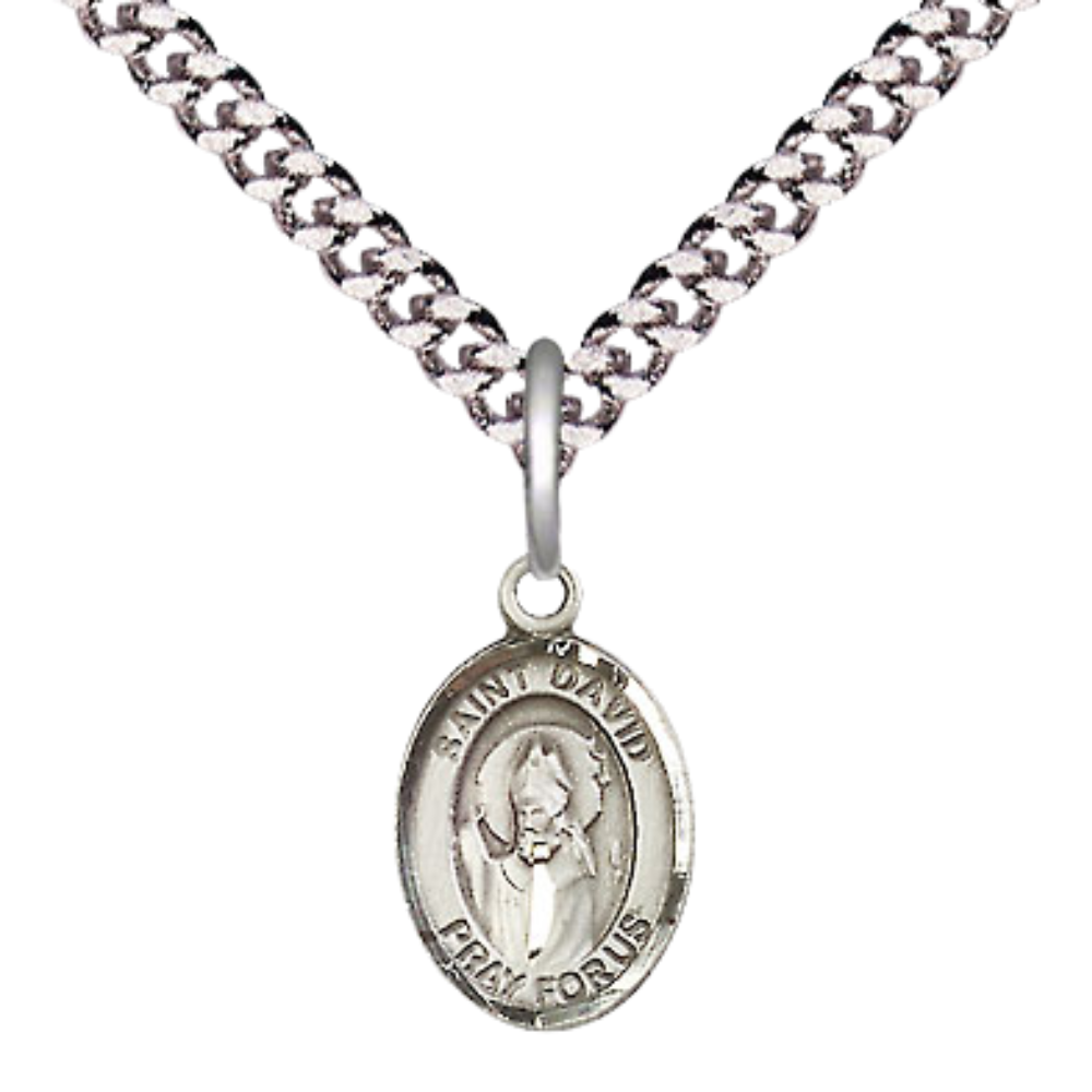 Small Sized Men's .925 Sterling Silver Saint St. David of Wales Medal Pendant on 24 Inch Endless Rhodium Plated Heavy Curb Brass Chain, Catholic Religious Necklace - Made in USA- Deluxe Velvet Gift Box