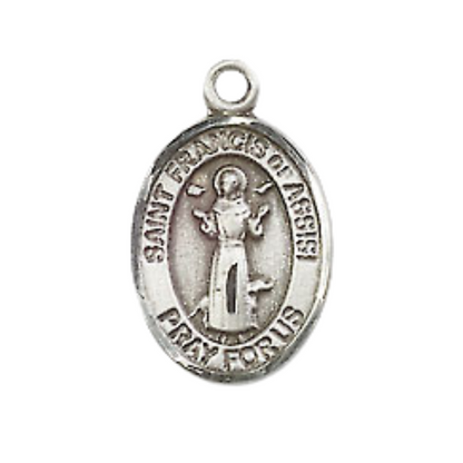 Small Sized Men's Pewter Saint St. Francis of Assisi Medal Pendant on 24 Inch Endless Rhodium Plated Heavy Curb Brass Chain, Catholic Religious Necklace - Made in USA- Deluxe Velvet Gift Box