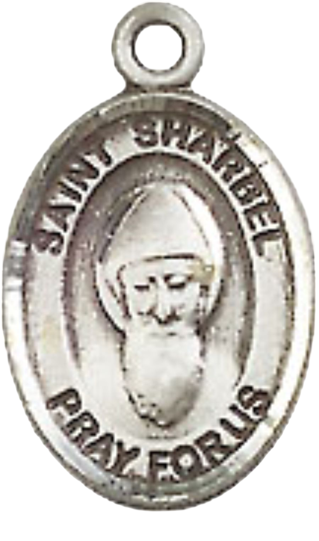 Small Sized Women's Pewter Saint Sharbel Medal Pendant on 18 Inch Rhodium Plated Lite Curb Brass Chain with Lobster Claw Clasp, Catholic Religious Necklace - Made in USA- Velvet Gift Box