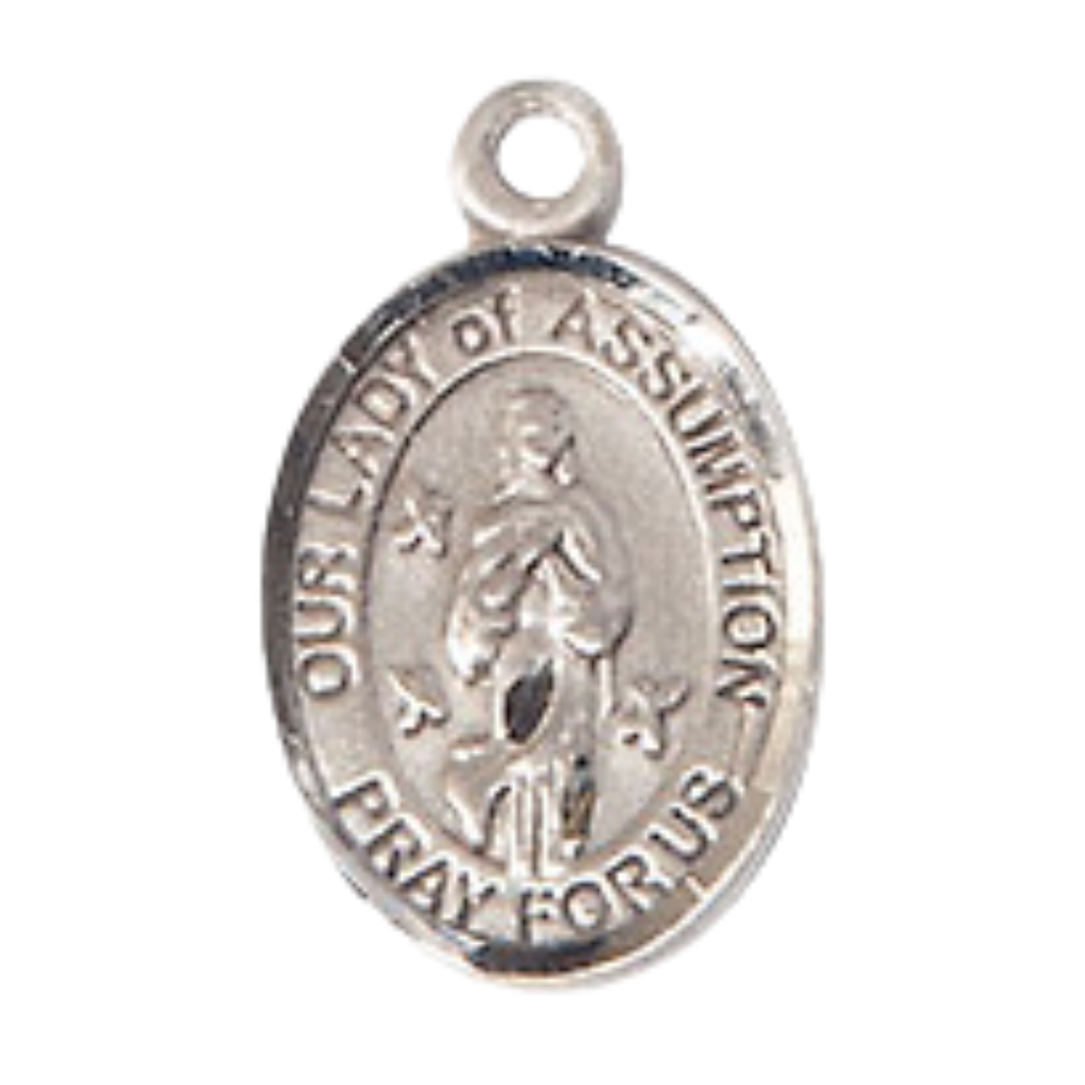 Small Sized Women's Pewter Our Lady of Assumption Medal Pendant on 18 Inch Rhodium Plated Lite Curb Brass Chain with Lobster Claw Clasp, Catholic Religious Necklace - Made in USA- Velvet Gift Box
