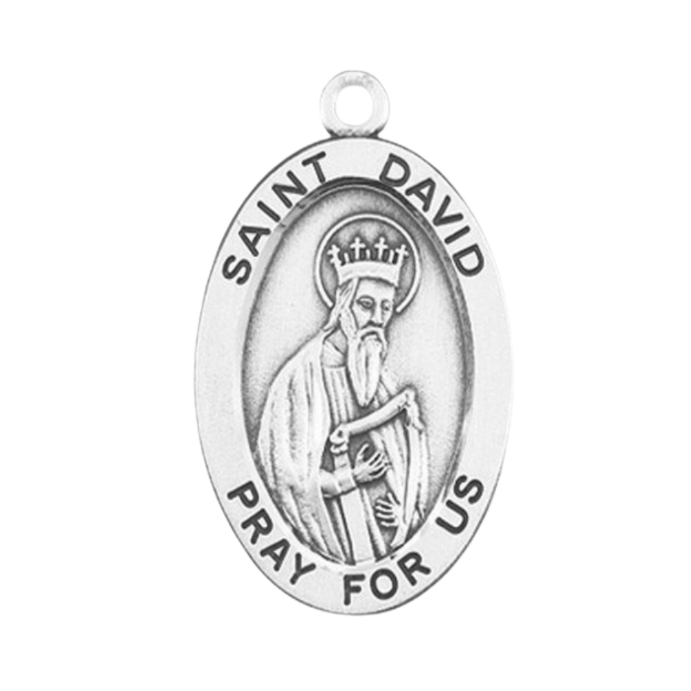 Saint David Sterling Silver Oval Medal Necklace — 24" Chain, Gift Box