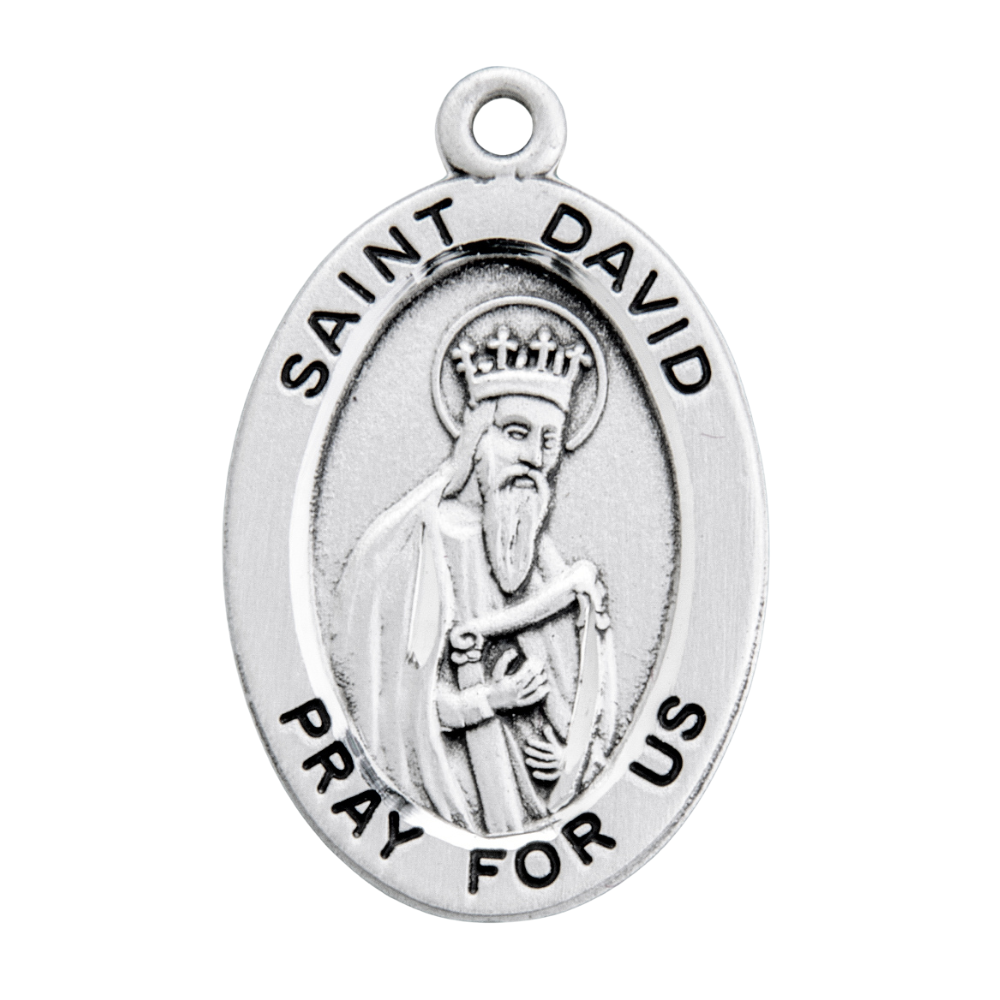 Saint David Sterling Silver Oval Medal Pendant Necklace — 20" Chain, Gift Box