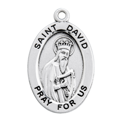 Saint David Sterling Silver Oval Medal Pendant Necklace — 20" Chain, Gift Box