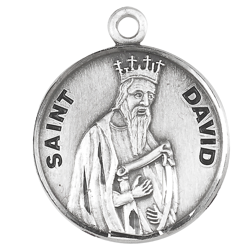 Saint David Sterling Silver Round Medal — 20" Chain, Gift Box Included